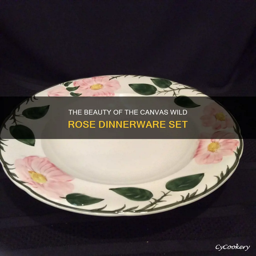 canvas wild rose dinnerware set