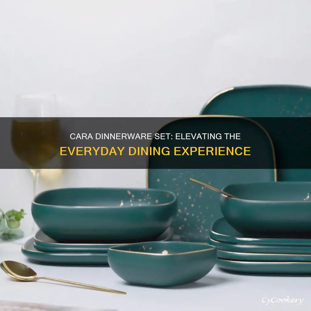 cara dinnerware set