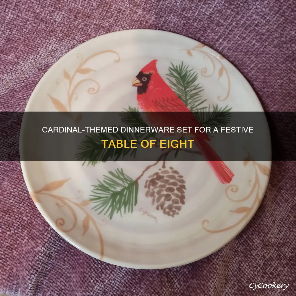 cardinal bird dinnerware set for 8