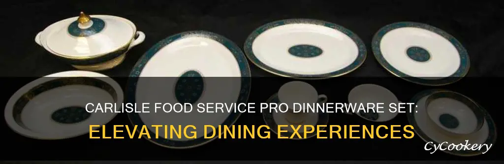 carlisle food service pro dinnerware set