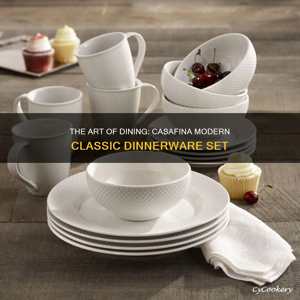 casafina modern classic dinnerware set