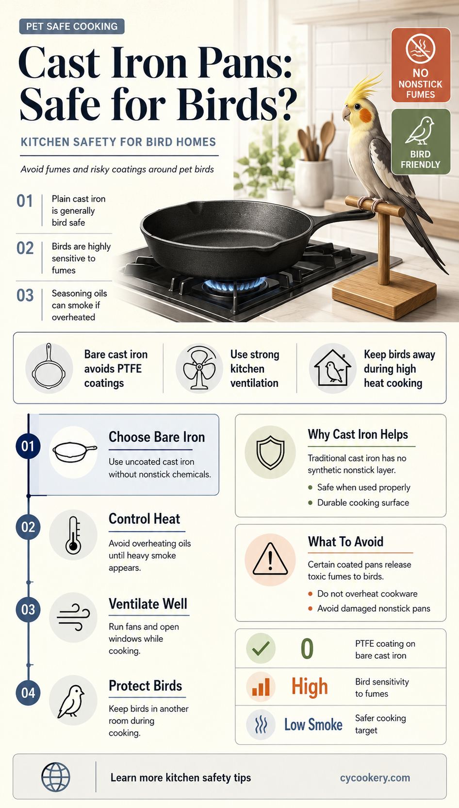 are cast iron pans safe for birds