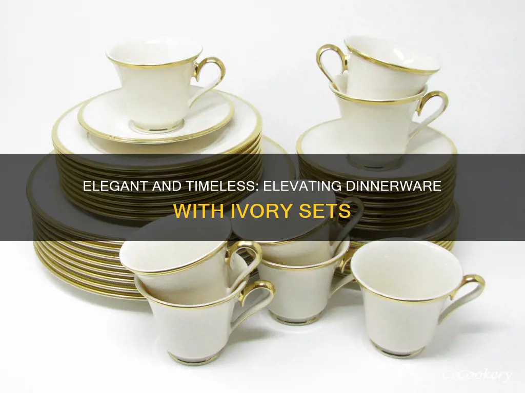 casual dinnerware sets ivory