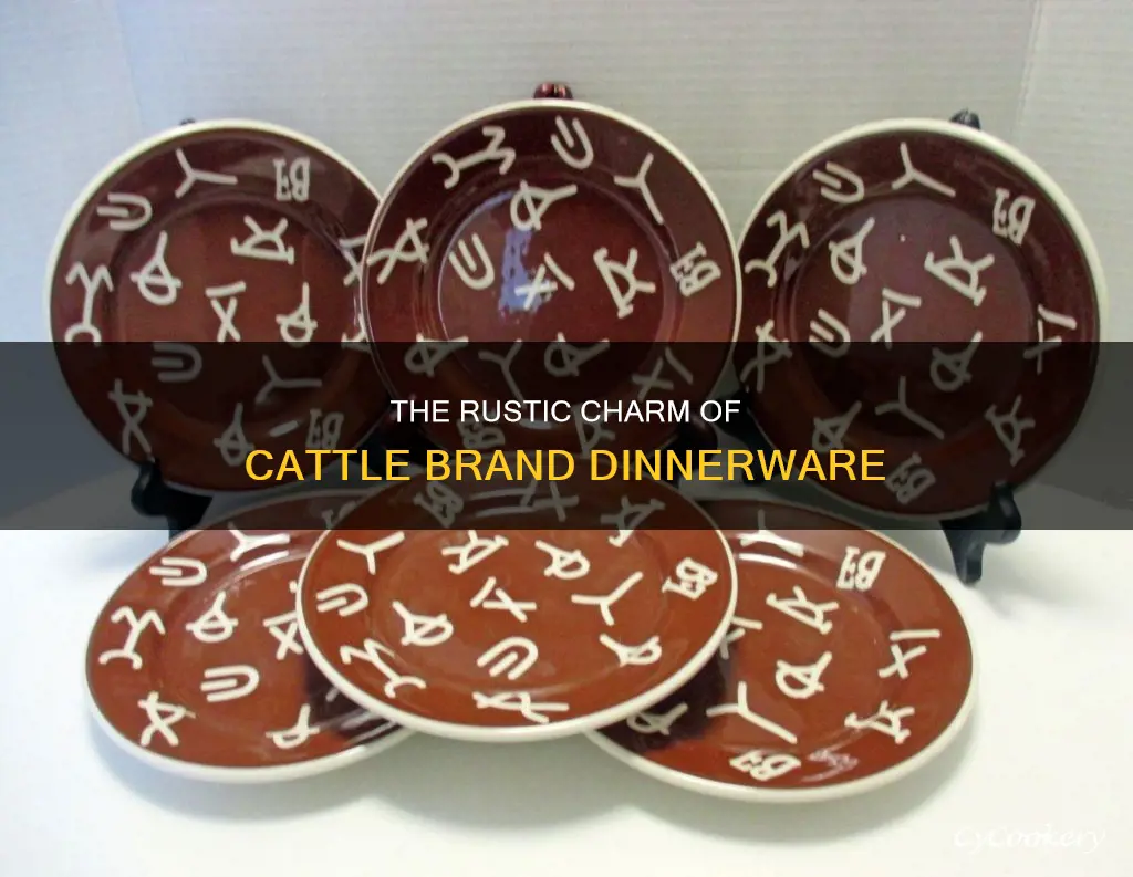 cattle brand dinnerware set