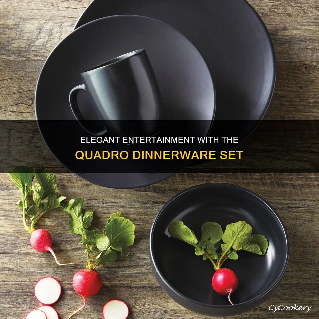 cca international quadro 16pc dinnerware set black