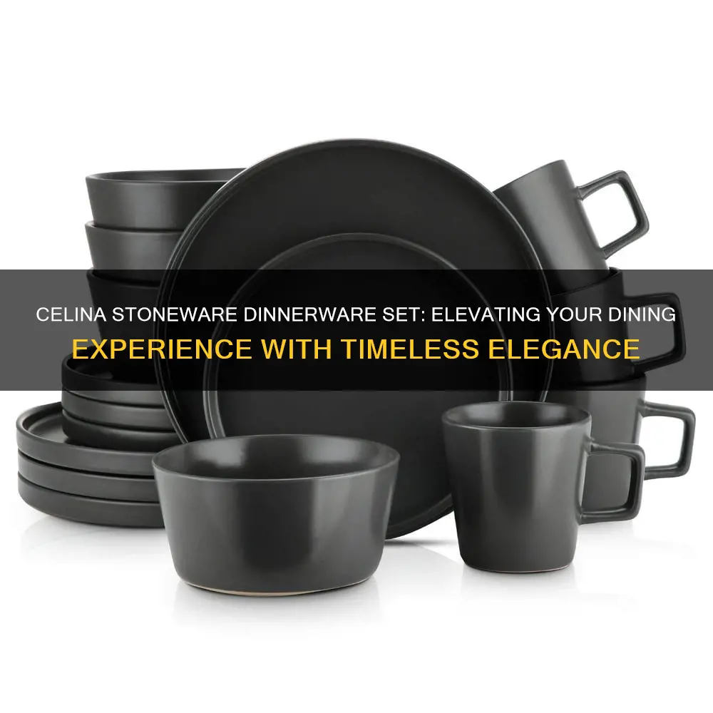 celina stoneware dinnerware set