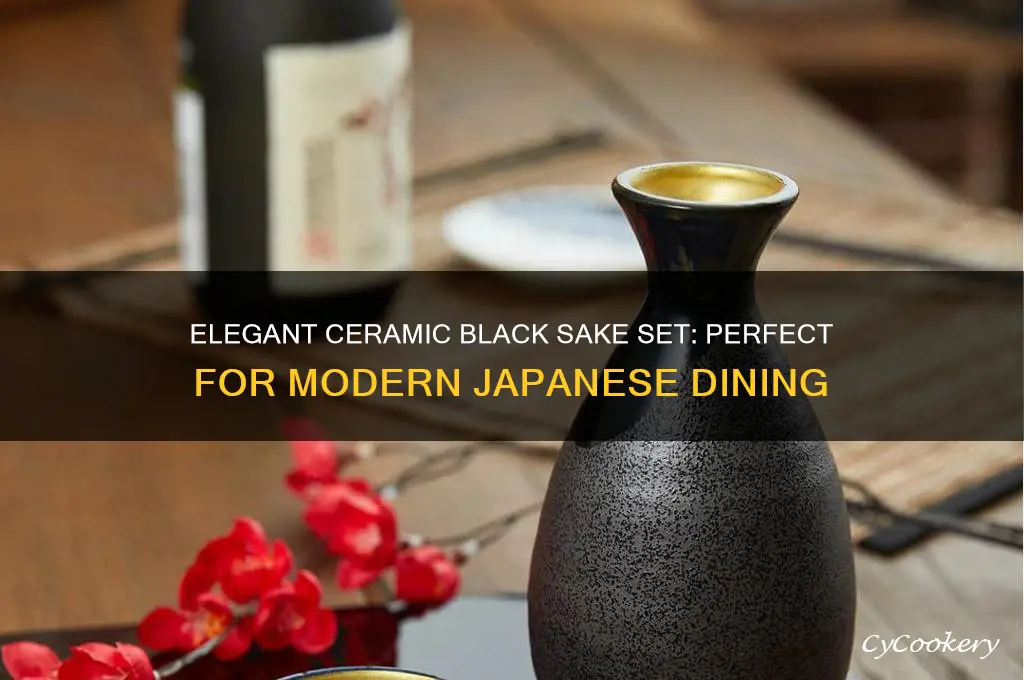 ceramic black sake set