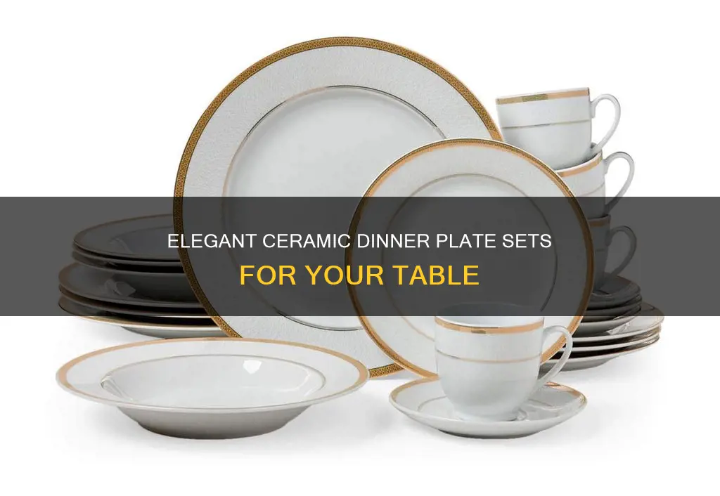 ceramic dinner plate sets