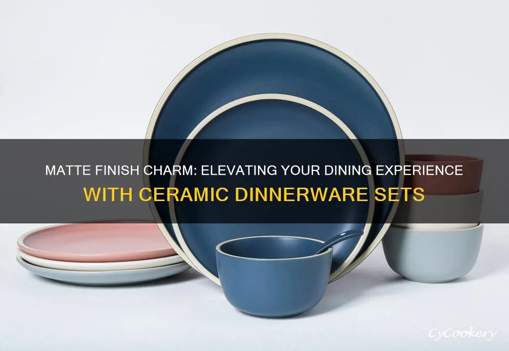 ceramic dinnerware set matte