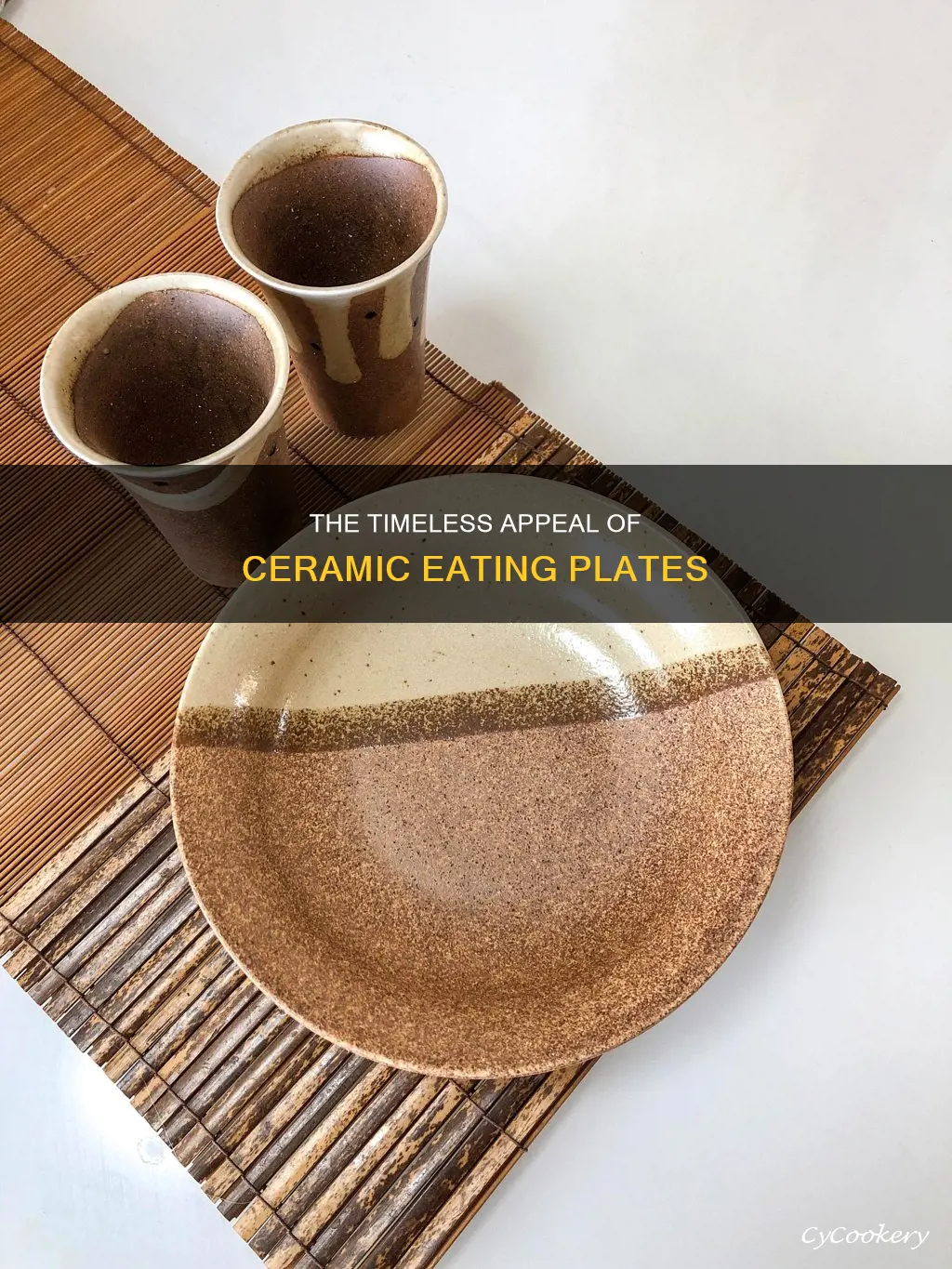 ceramic eating plates