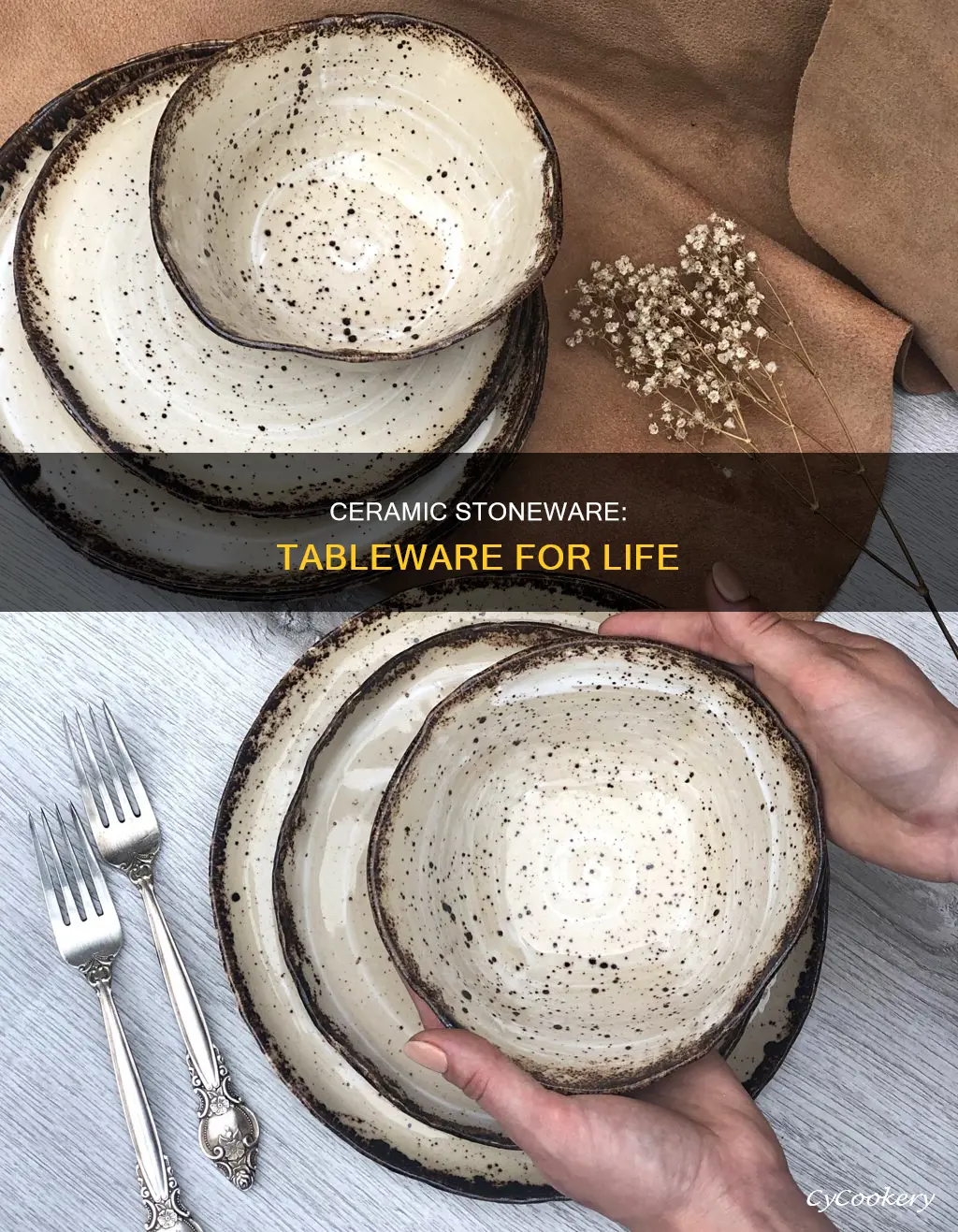 ceramic stoneware dinnerware