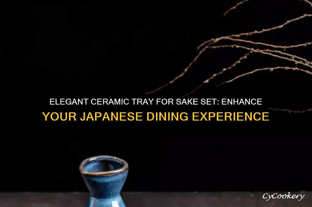 ceramic tray for sake set