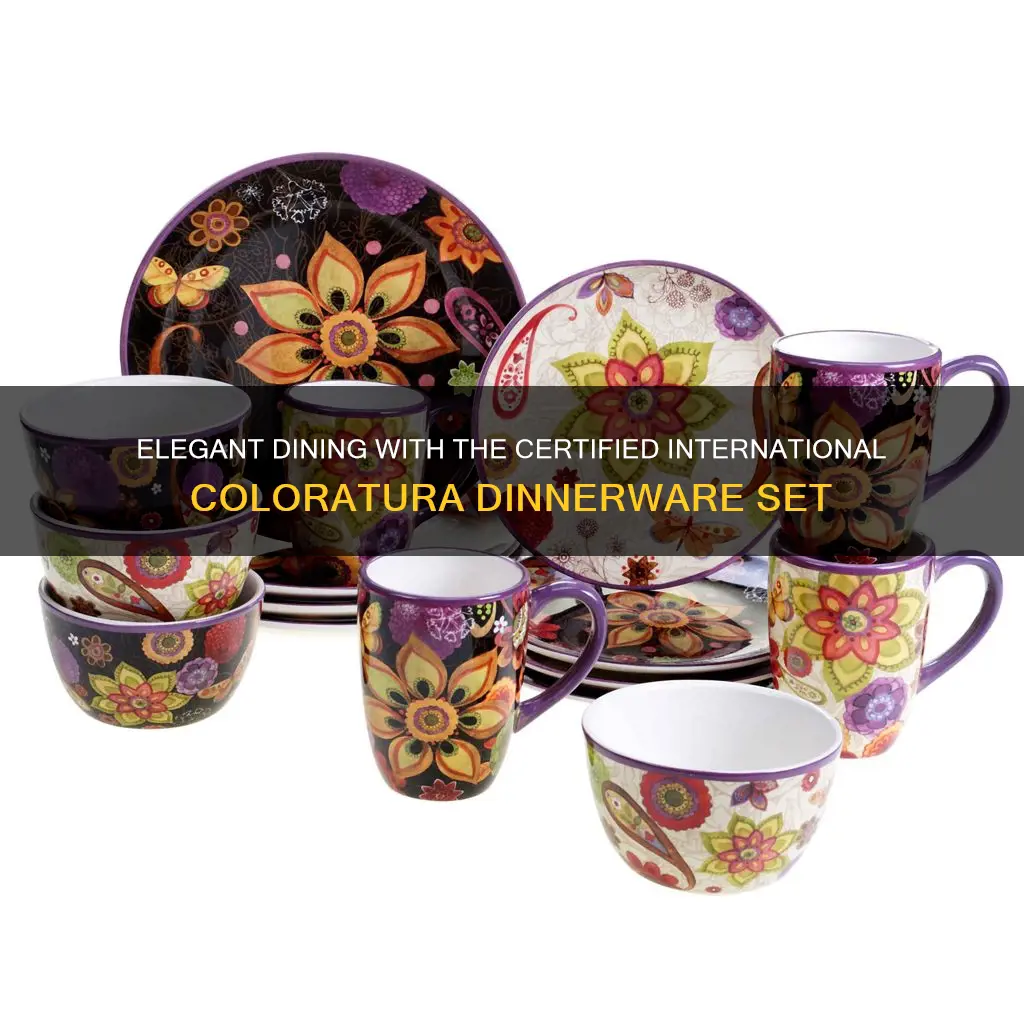 certified international coloratura by sue zipkin 16 piece dinnerware set