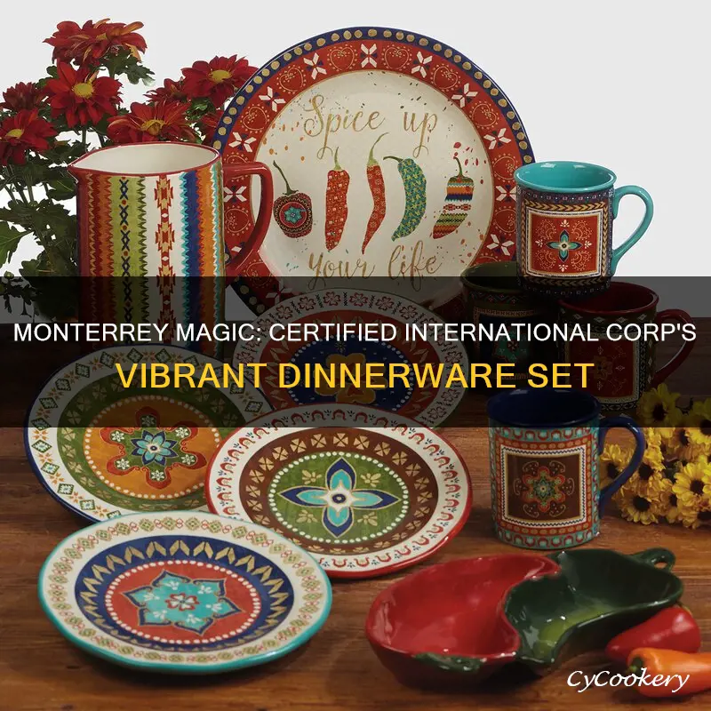 certified international corp 89114 monterrey dinnerware set multicolor