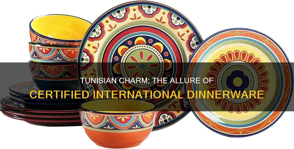 certified international tunisian dinnerware set