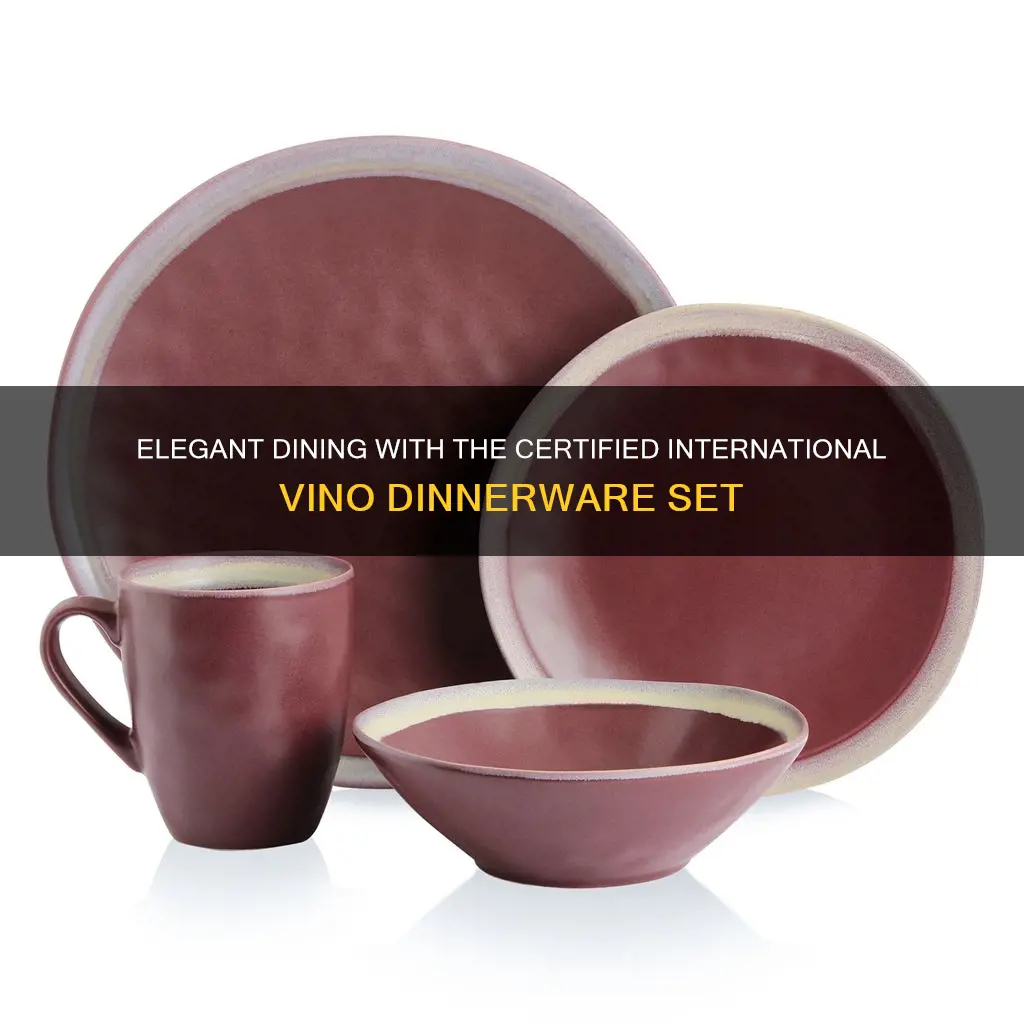 certified international vino 16-piece dinnerware set