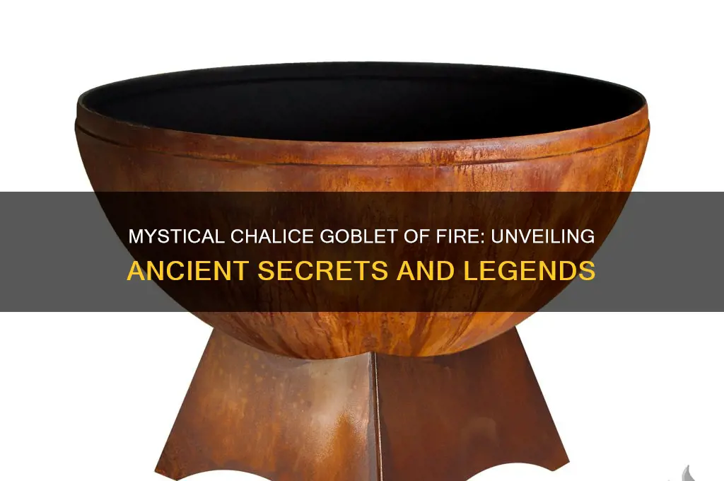chalice goblet of fire