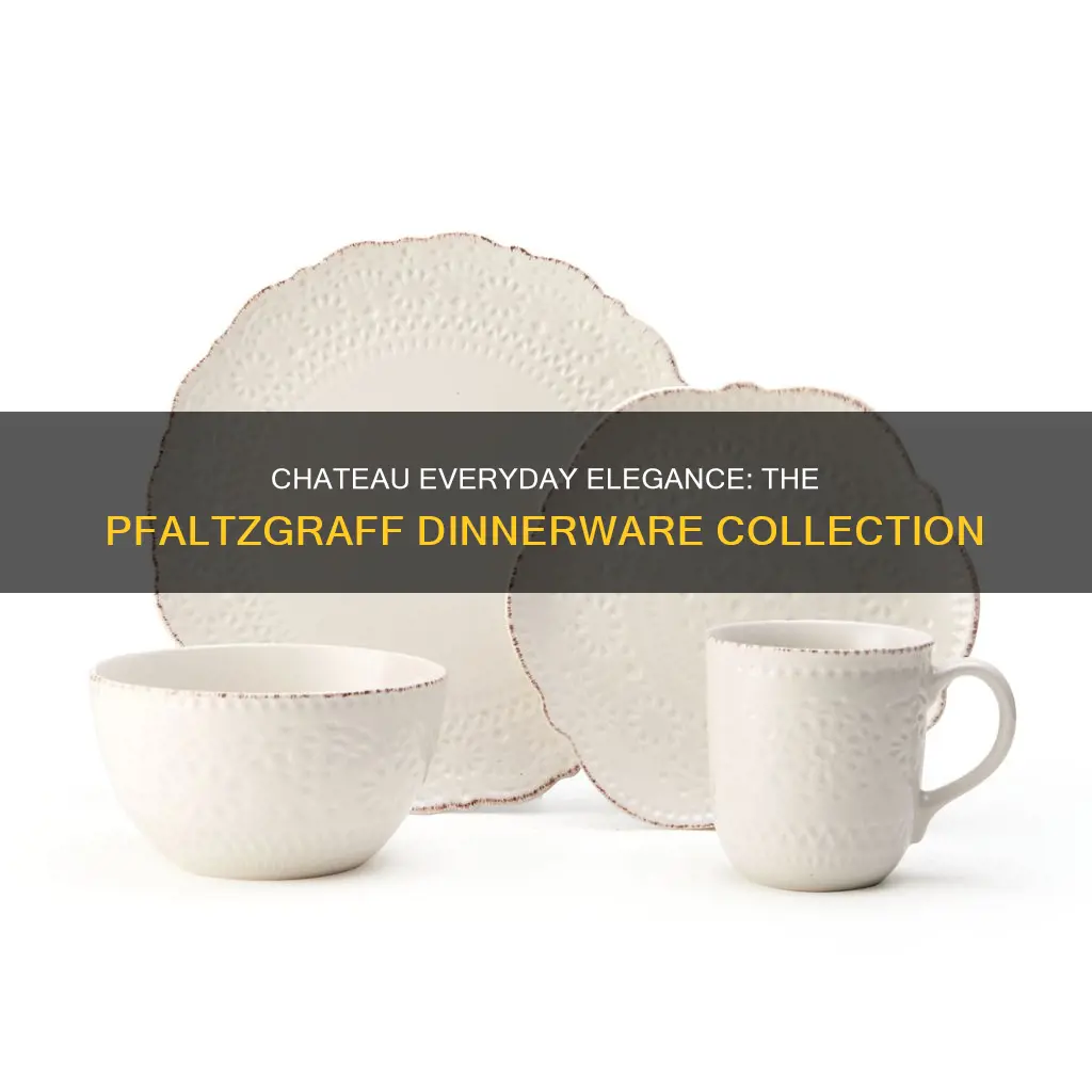 chateau everyday 16 piece dinnerware set by pfaltzgraff