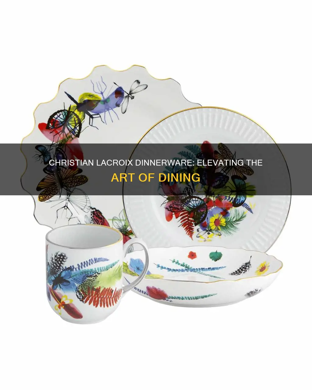 christian lacroix dinnerware set