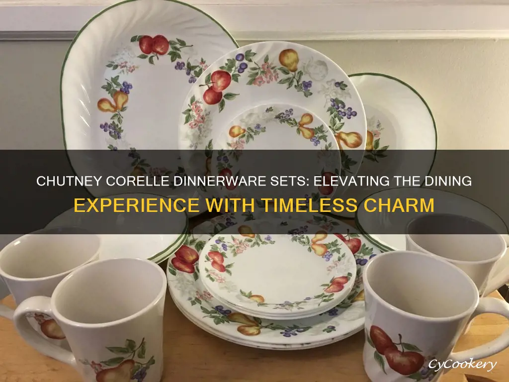 chutney corelle dinnerware sets