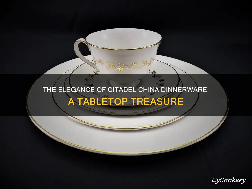 citadel china dinnerware set