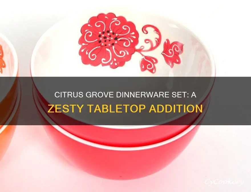 citrus grove dinnerware set