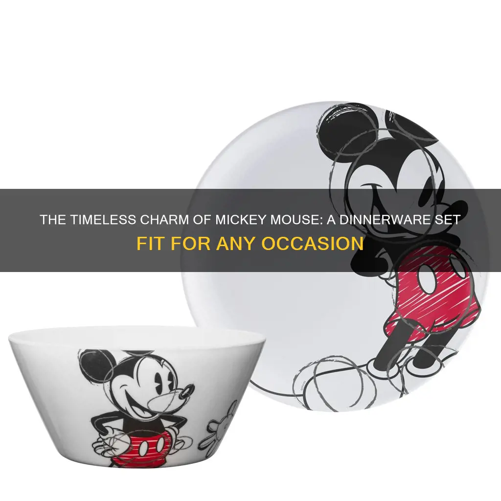 classy mickey mouse dinnerware set