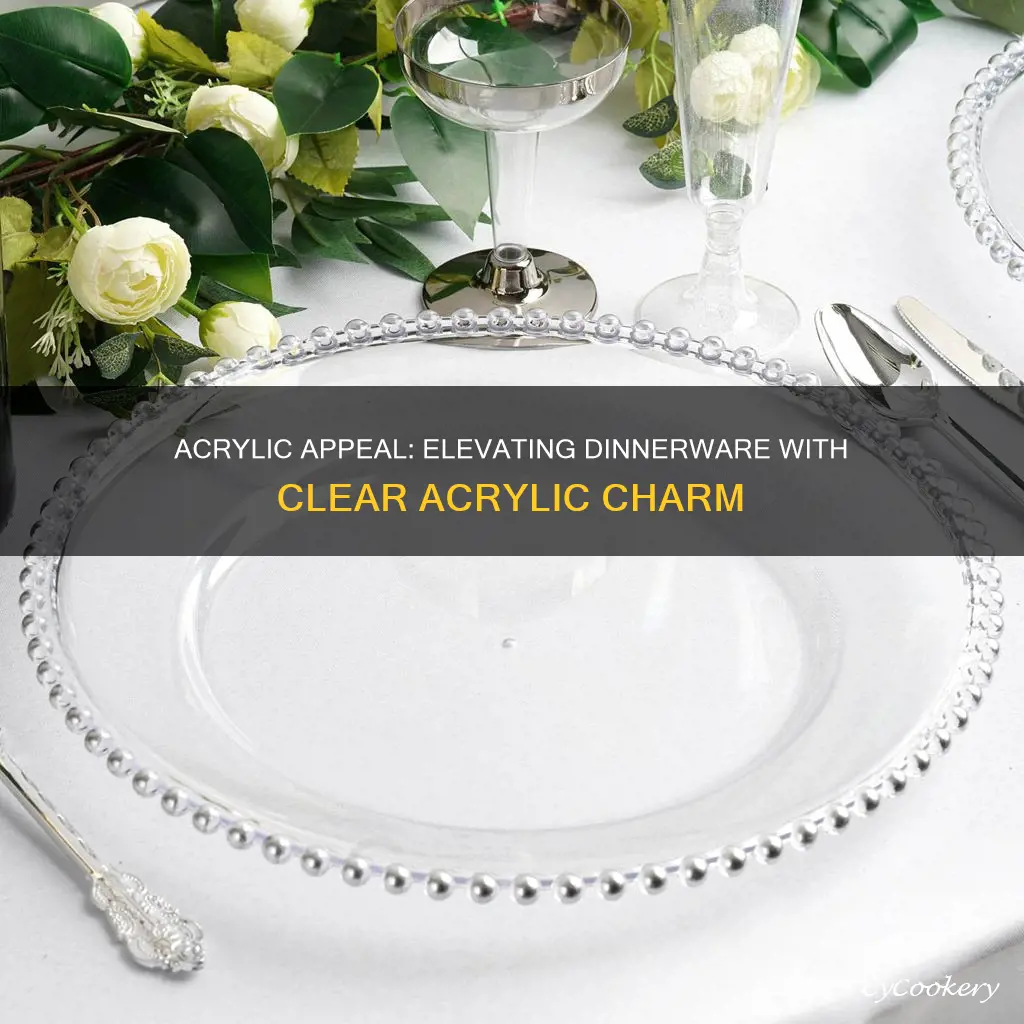 clear acrylic dinnerware set