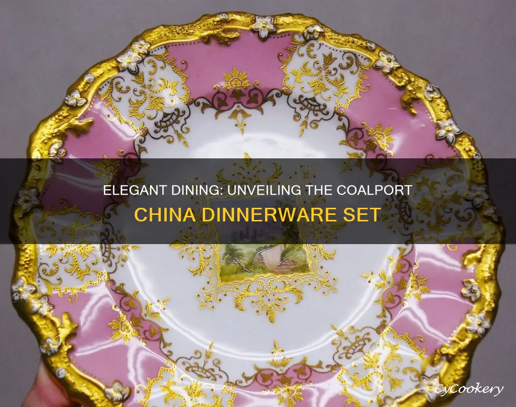 coalport china dinnerware set