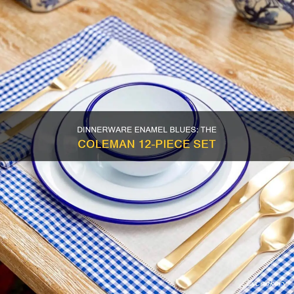 coleman 12 piece enamel dinnerware set blue