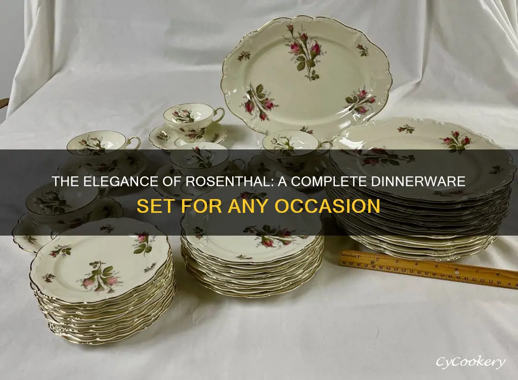 complete rosenthal dinnerware set