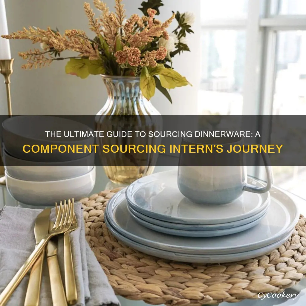 component sourcing intern dinnerware set