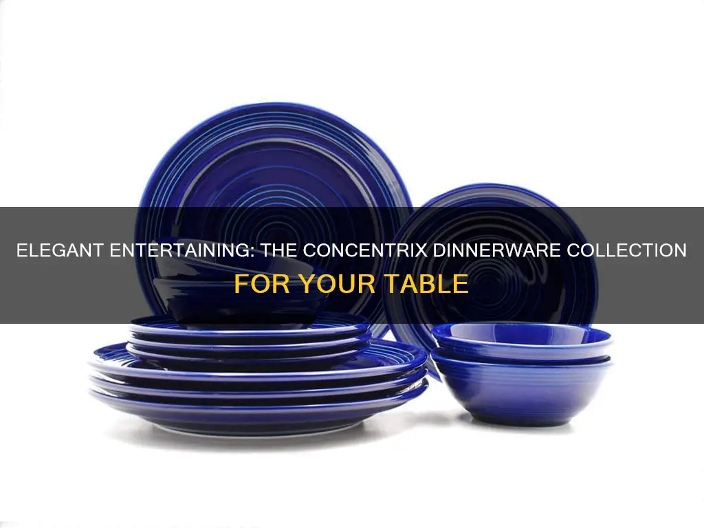 concentrix 12 piece dinnerware set