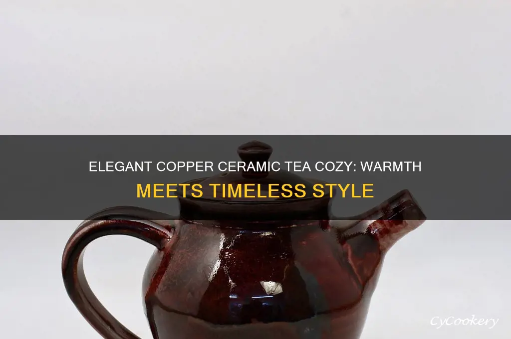 copper ceramic tea cozy