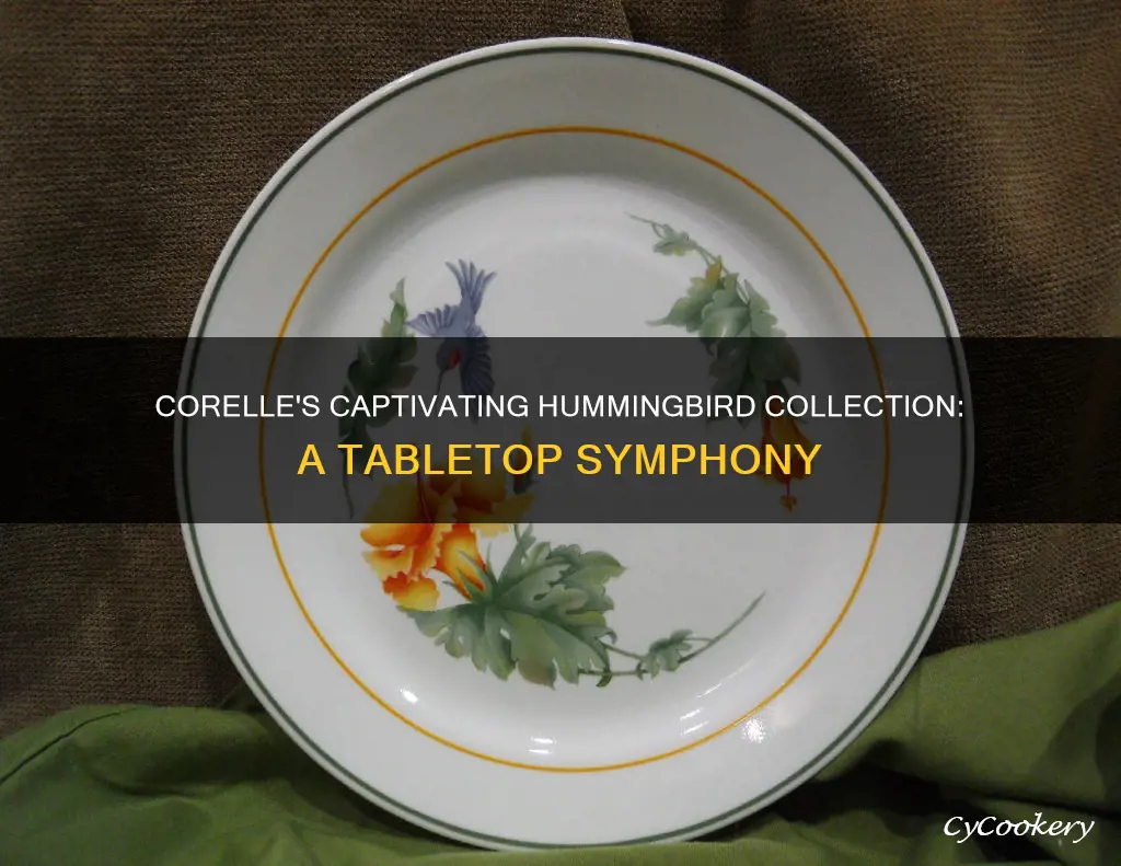 corelle hummingbird pattern dinnerware set