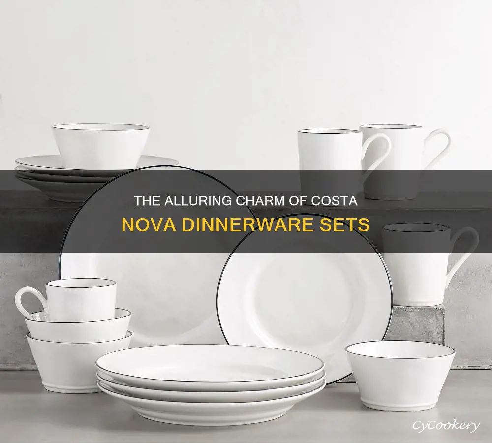 The Alluring Charm Of Costa Nova Dinnerware Sets | CyCookery