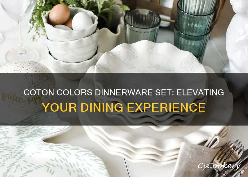 coton colors dinnerware set