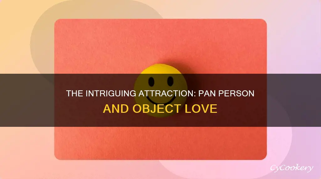 could a pan person like a object
