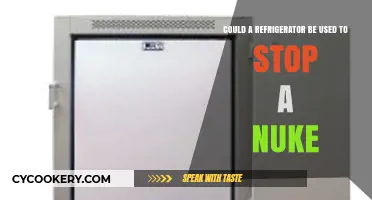 Can a Refrigerator Shield Against Nuclear Explosions? Unlikely Defense Explored