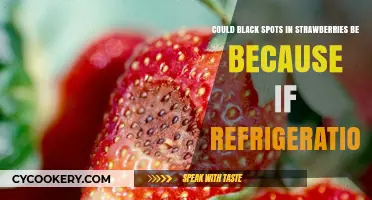 Refrigeration's Role: Are Black Spots in Strawberries Cold-Induced?