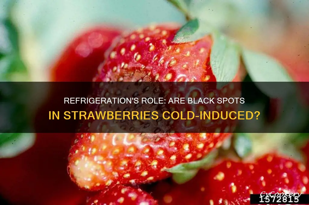 could black spots in strawberries be because if refrigeration