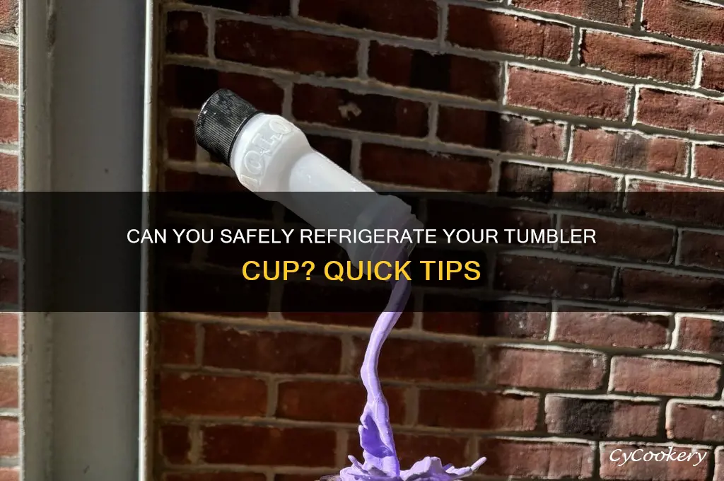 could i put my tumbler cup in refrigerator