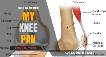Hip-Knee Link: Understanding Pain Origins