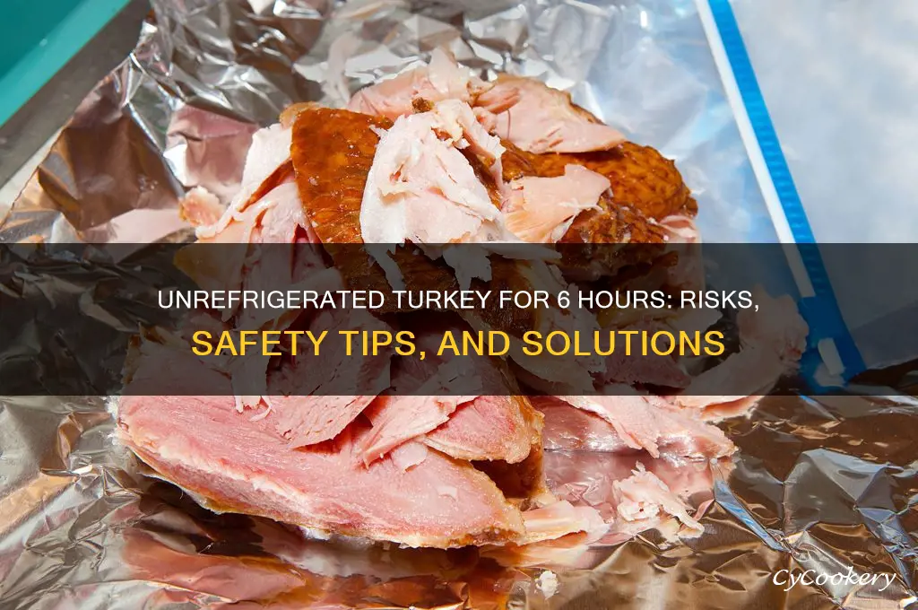 could not refrigerate turkey for 6 hours