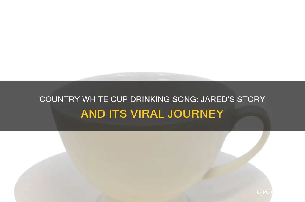 country white cup drinking song jared somone