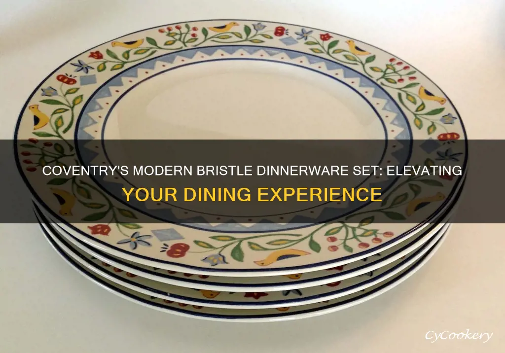 coventry modern home bristle dinnerware set