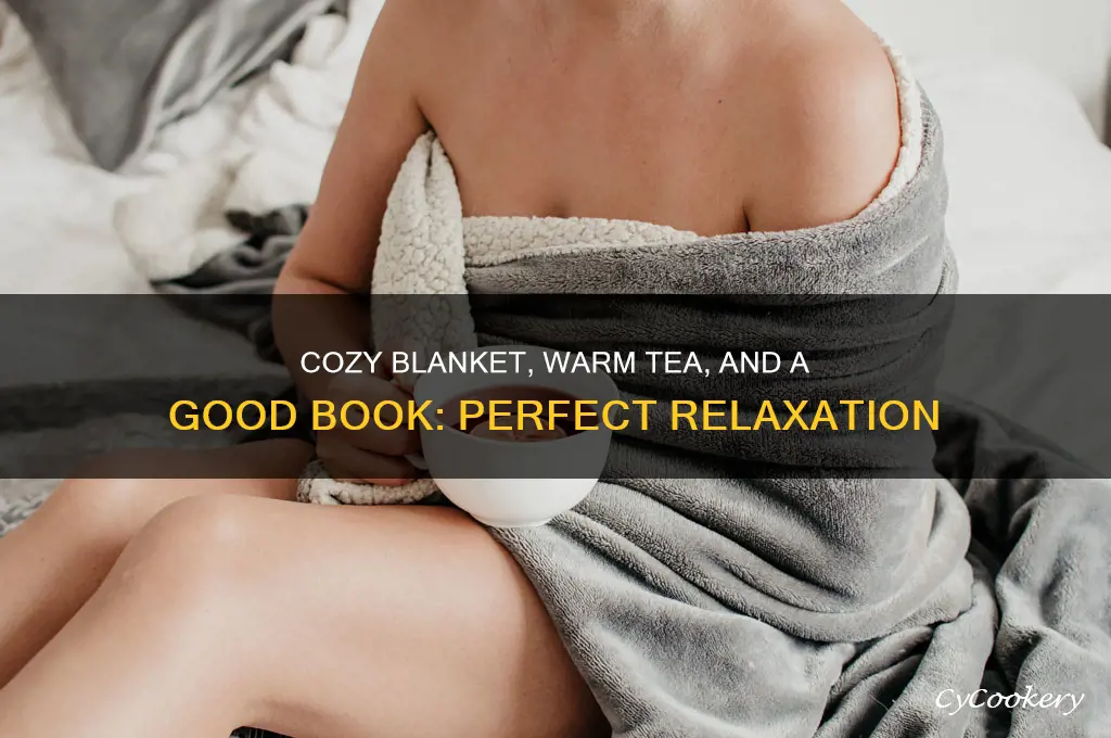 cozy blanket tea and a good book pic