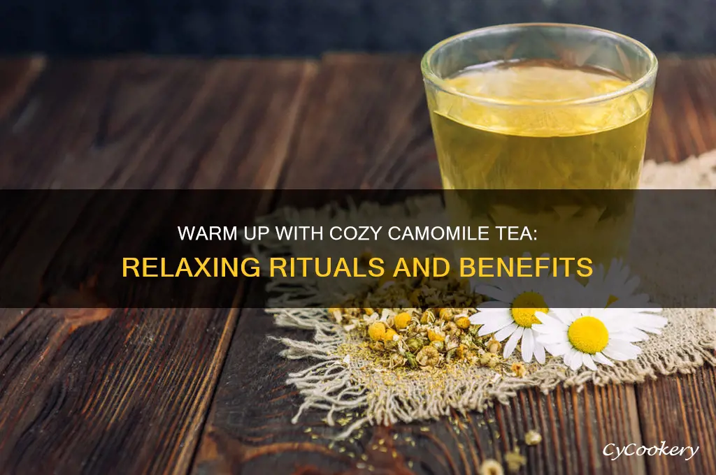 cozy camile tea