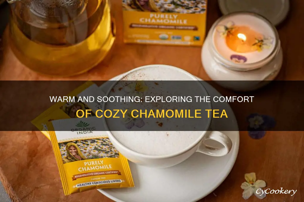 cozy chamomile ehat type of tea