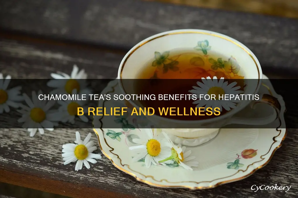 cozy chamomile tea benefits for hepatitis b